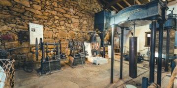 Museo del Aceite Fermoselle/ Aula de Formación y Catas, Mejor Oleoturismo con Experiencia de Maridaje